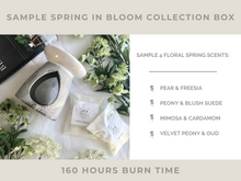Load image into Gallery viewer, Sample &quot;Spring in Bloom&quot; Collection Box
