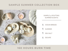 Load image into Gallery viewer, Sample Summer Collection Box
